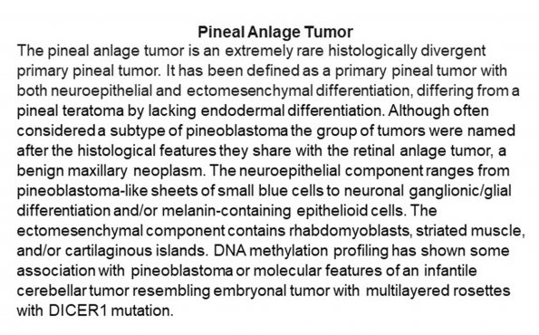 0A Pineal Anlage Tumor - Text v2