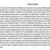 00A Pineocytoma - Text