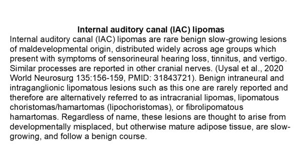 0A Internal Auditory Canal Lipoma - Text