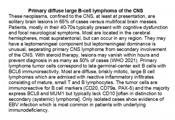 0A Primary CNS Lymphoma - Text Cropped