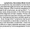 0A Lymphoma, secondary - Text 300dpi