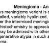 0A-Meningioma - Angiomatous Variant - Text