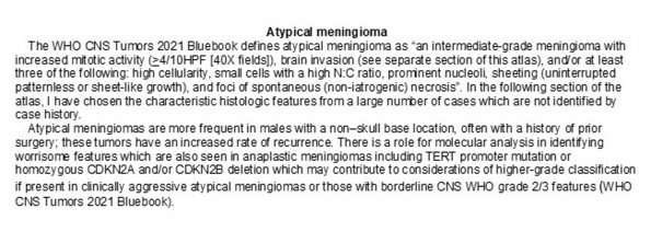 0A Meningioma - Atypical - Text