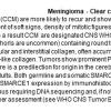 0A Meningioma - Clear Cell Variant