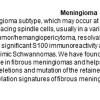 0A Meningioma - Fibrous