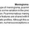 0A Meningioma - Psammomatous - Text