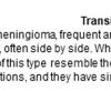 0A Meningioma - Transitional - Text