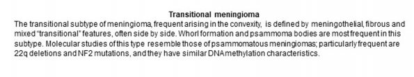 0A Meningioma - Transitional - Text