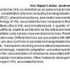 0A Hemangioblastoma - VHL Text