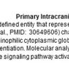 0A Primary Intracranial Sarcoma, DICER1 - Text