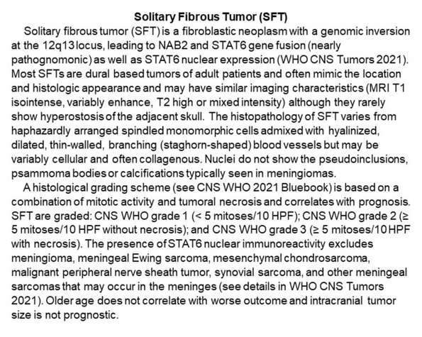 0A Solitary Fibrous Tumor - Text