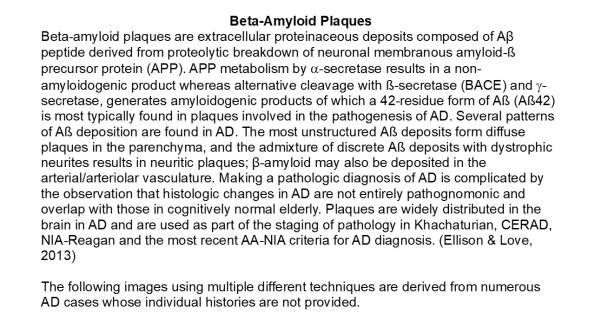 0A Beta-Amyloid Plaques - Text