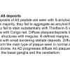 1A0 Diffuse Beta-Amyloid Plaques - Text