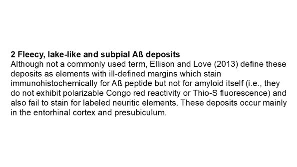 2A0 Fleecy, lake-like and subpial Aß deposits