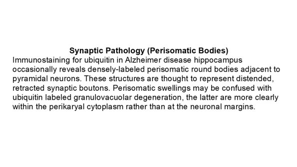 0A Synaptic Pathology - Text