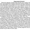 0A Hippocampal Sclerosis of Aging - Text