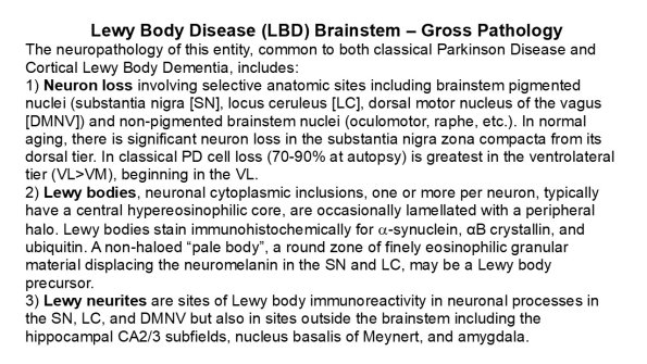 0A LBD Brainstem – Gross Pathology