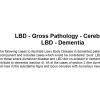 0A LBD - Gross Pathology - Cerebrum LBD - Dementia