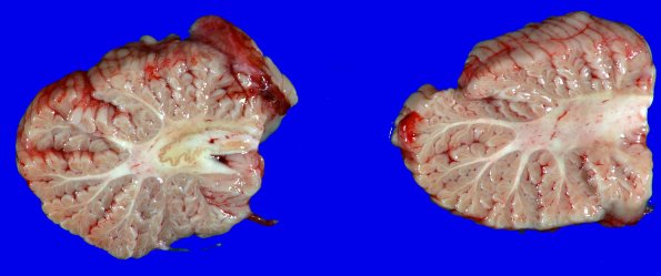 16A7 MSA (Case 16)_7
