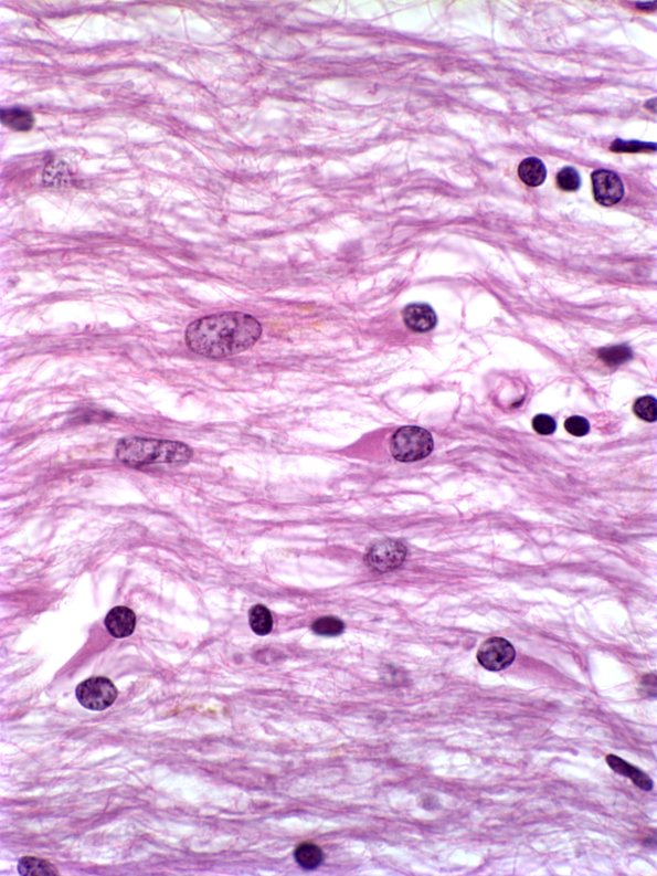 9C1C MSA (Case 9) 1