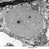 3E3 PGB (Case 3) SC EM 010 - Copy