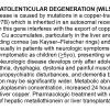 0A Wilson Disease - Text