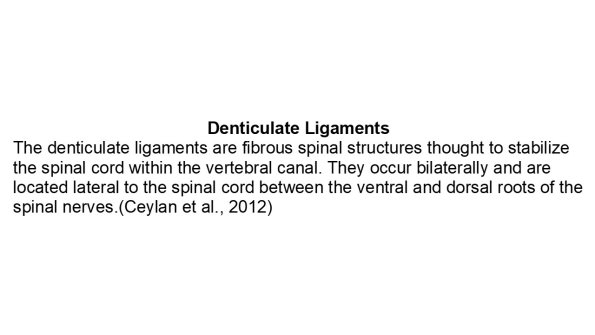 0A Denticulate ligament - Text