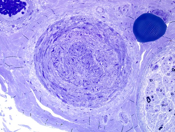 10D Vessel, telescoped Plastic 1.jpg