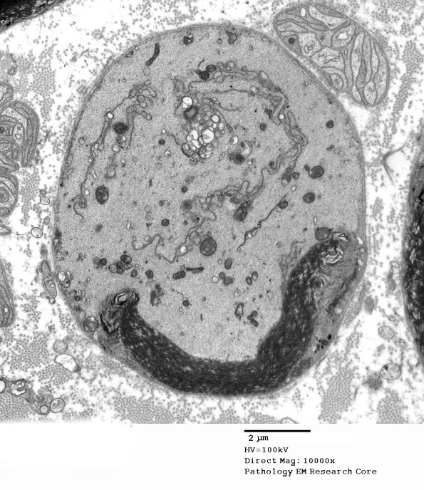 16B1 Artifact EM_021 - Copy