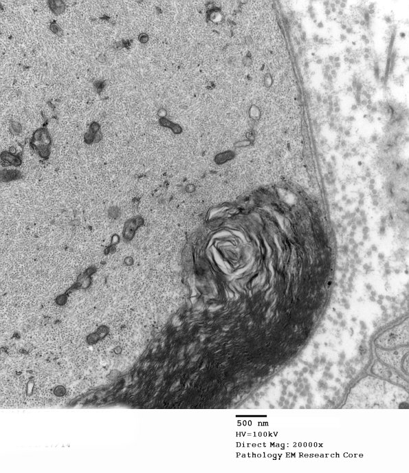 16B3 Artifact EM_025 - Copy