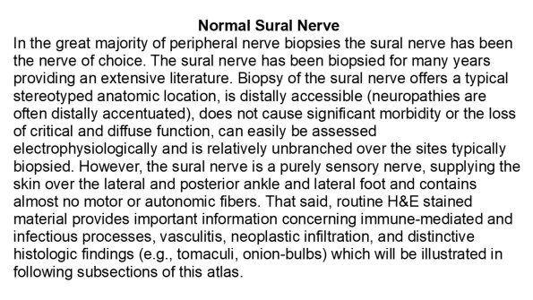 0A Sural Nerve - Text