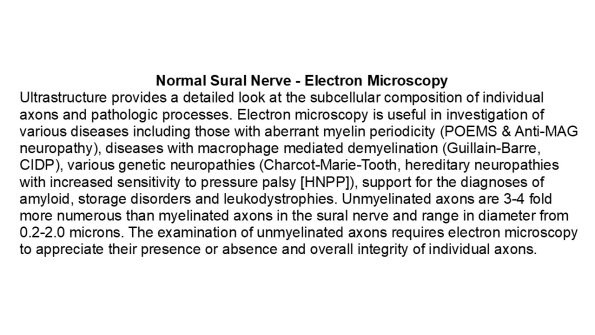 0A Normal Electron Microscopy - Text