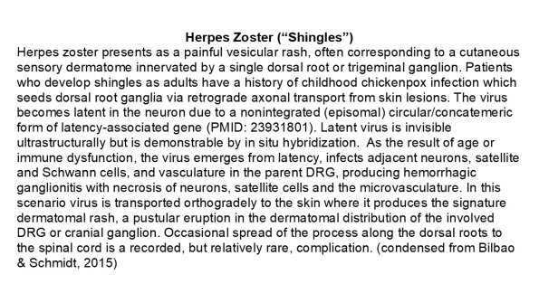 0A Herpes zoster - Text