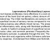 0A2 Lepromatous Leprosy - Text