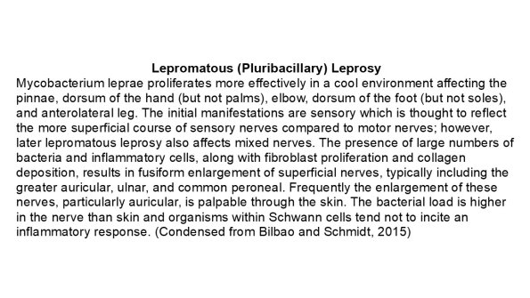 0A2 Lepromatous Leprosy - Text