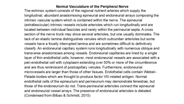 0A Normal Vasculature - Text