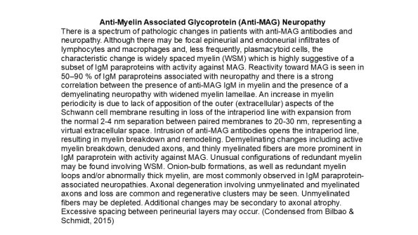 0A2 Anti-Myelin Associated (Anti-MAG) Neuropathy - Text