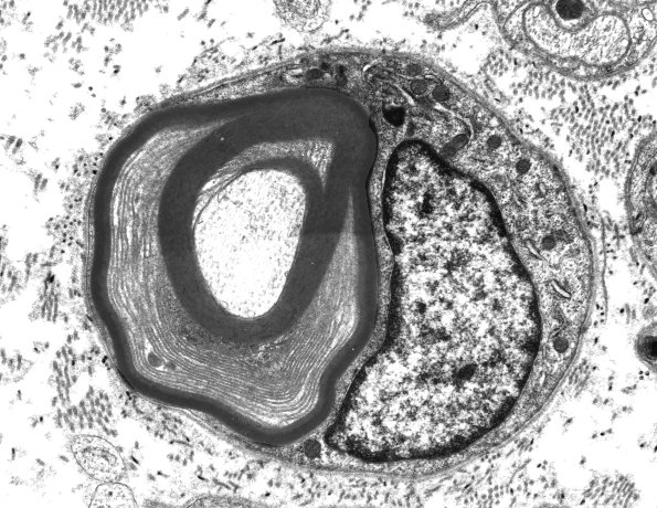 4B3 POEMS (S05-3821) EM - Copy