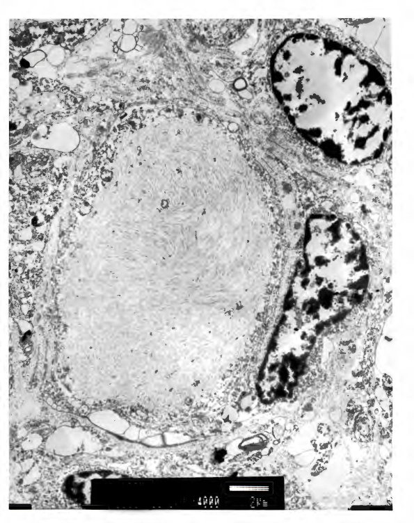 4A8 Pics_Page_3 - Copy