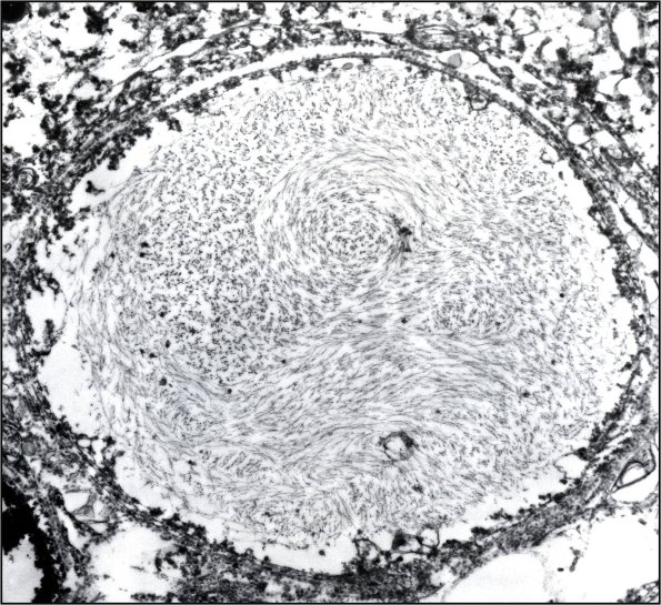 4A9 Picture14 - Copy
