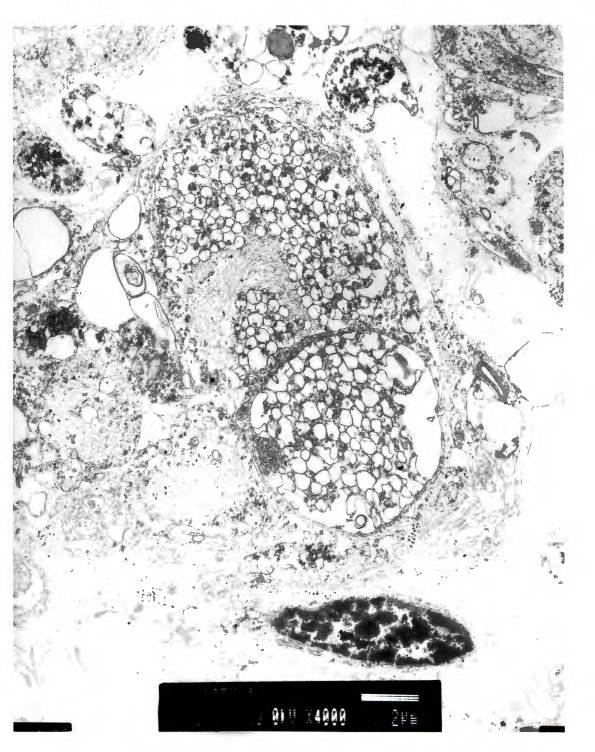 4B2 Pics_Page_1 - Copy