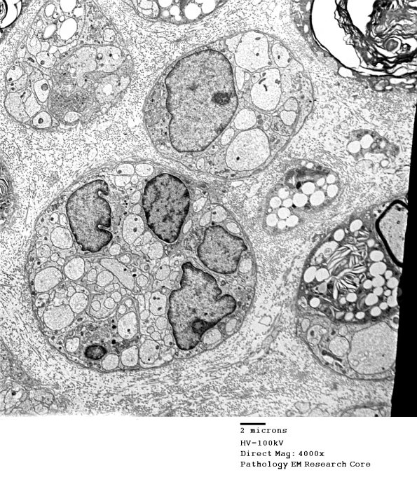 19C5 Trauma (Case 19) EM 036 - Copy