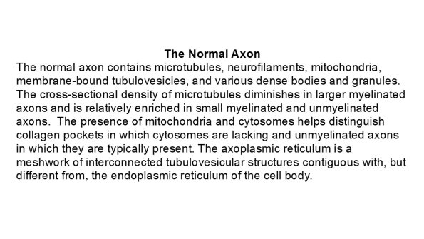 0A Normal Nerve - Text