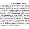 0A Pi Granules (of Reich) - Text