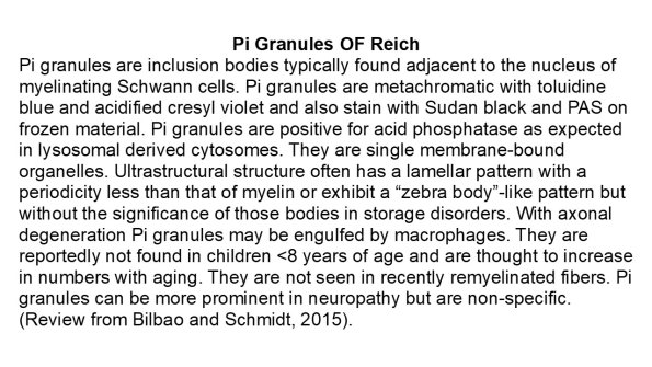 0A Pi Granules (of Reich) - Text