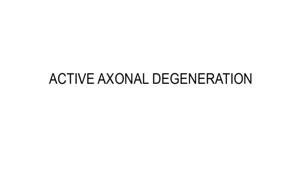 1A0 Active Axonal Degeneration - Text 2