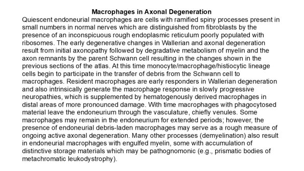 0A Macrophages in Axonal Degeneration - Text