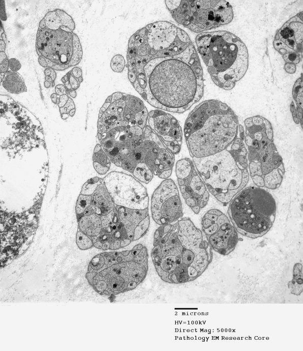 3B2 SLE EM009 - Copy