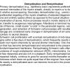 0A Demyelination & Regeneration - Text