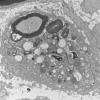 21J13A (Case 21)_007 - Copy